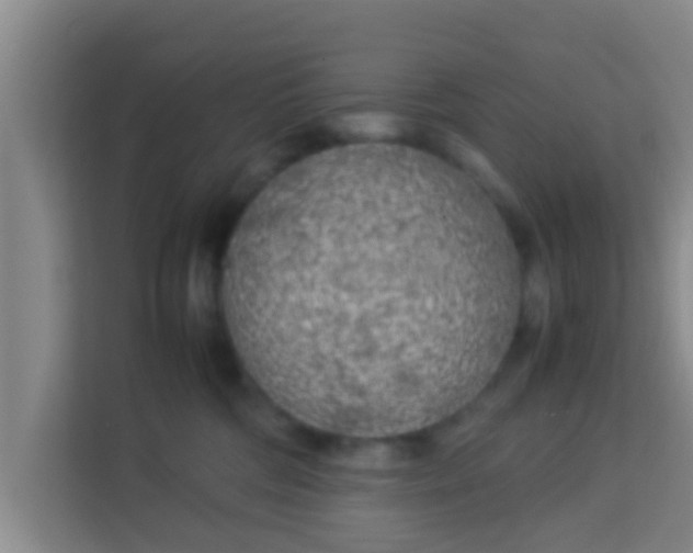 X0000113930330200910091607