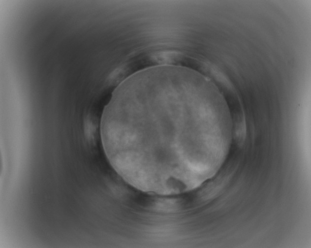 X0000113930332200910091607