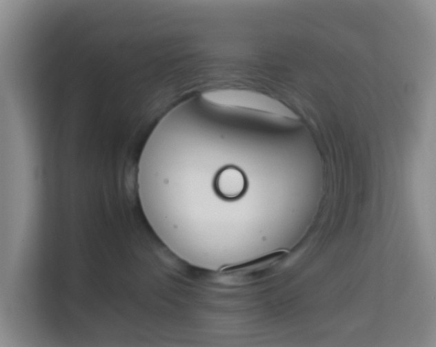 X0000113930336200910091607