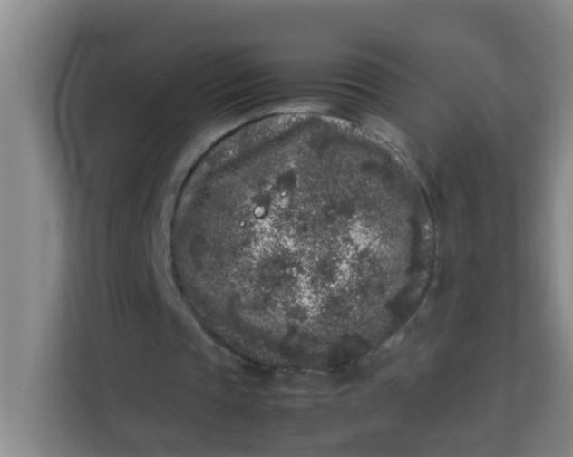 X0000113930337200910091607