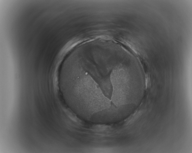 X0000113930339200910091607