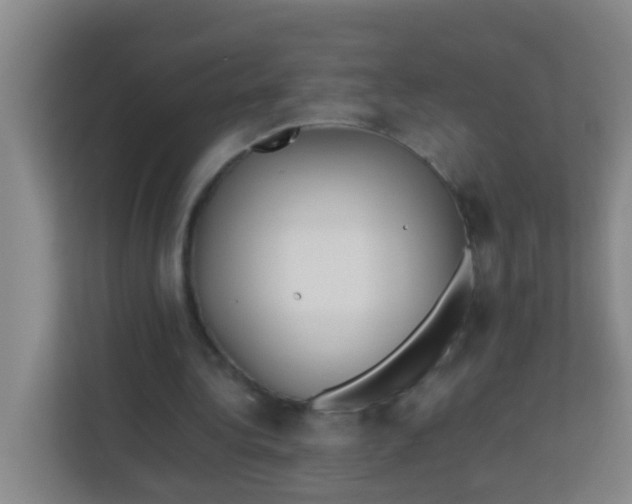 X0000113930340200910091607