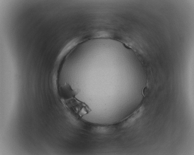 X0000113930341200910091607