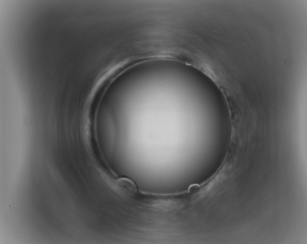 X0000113930342200910091607