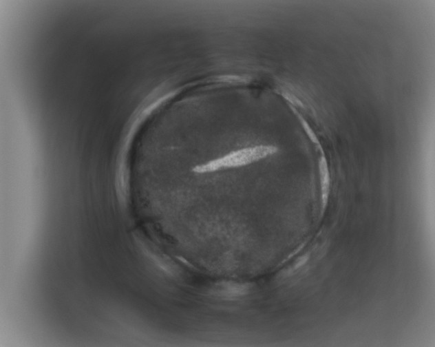 X0000113930343200910091607