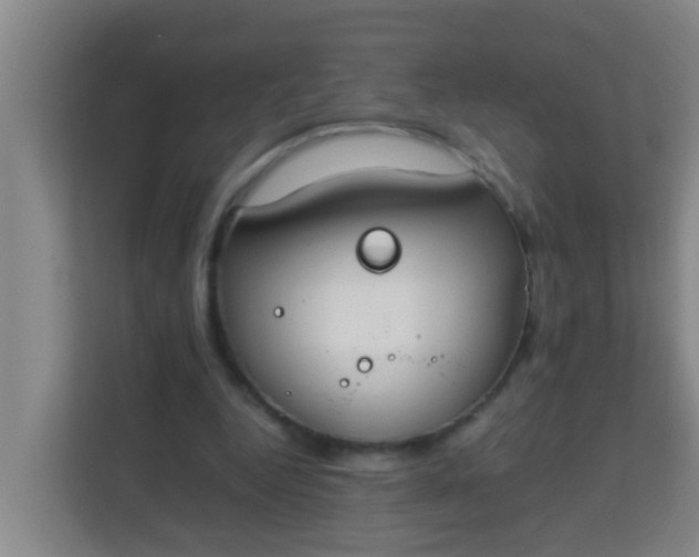 X0000113930344200910091607