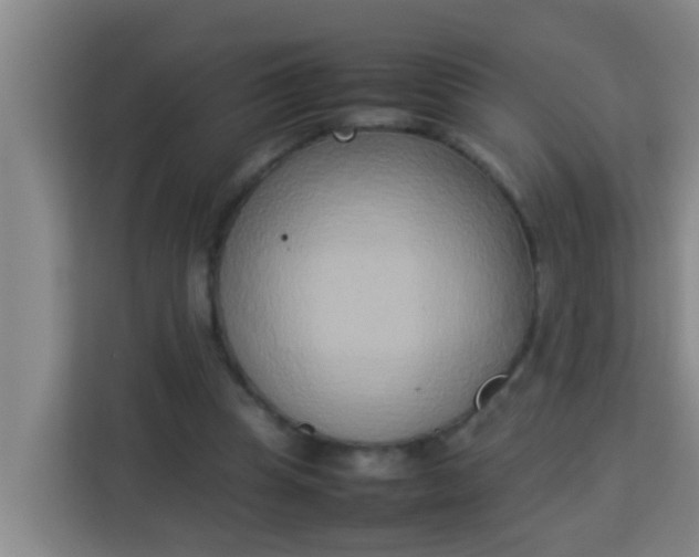 X0000113930345200910091607