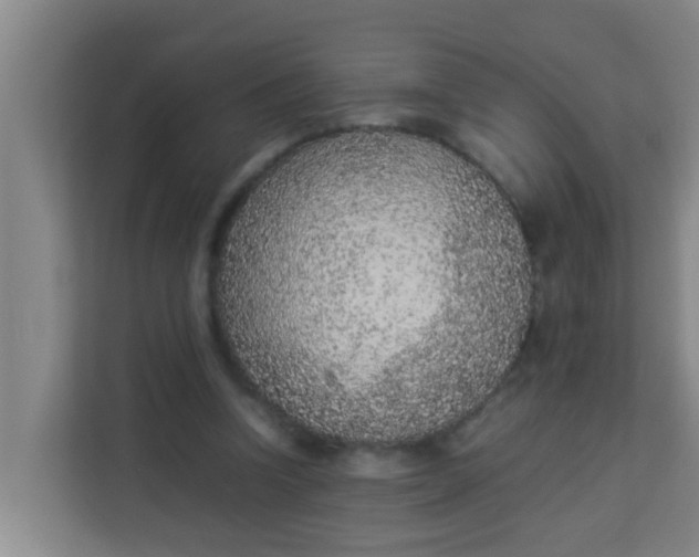 X0000113930346200910091607