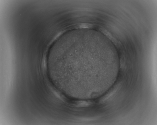 X0000113930347200910091607