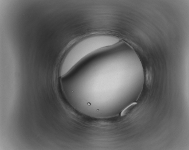 X0000113930348200910091607