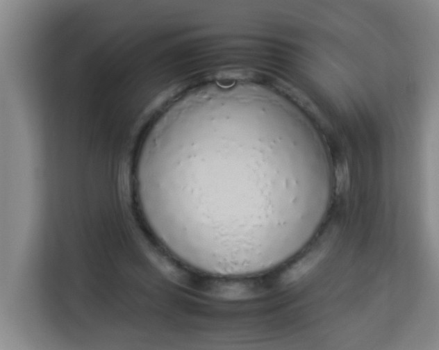 X0000113930349200910091607