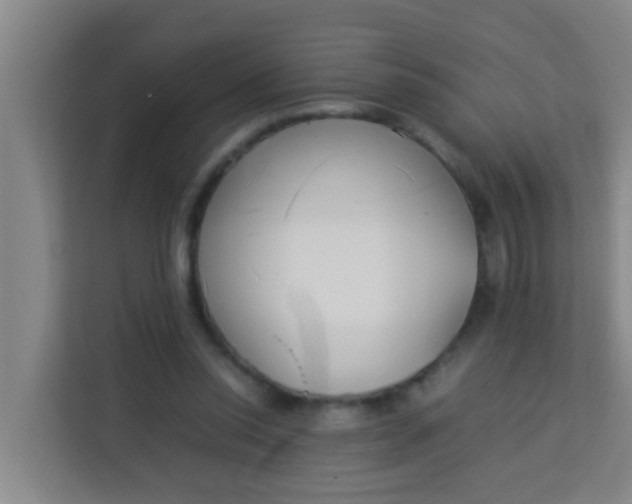 X0000113930350200910091607