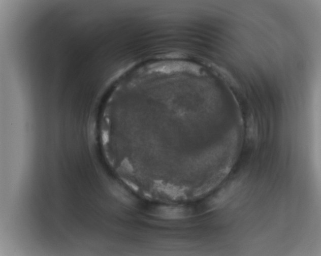 X0000113930351200910091607