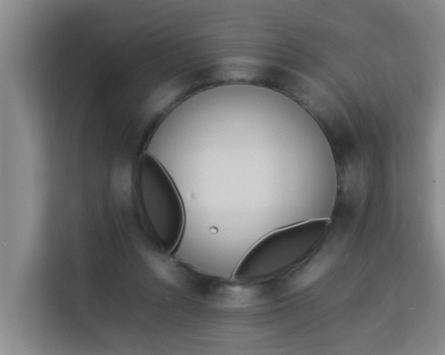 X0000113930352200910091607