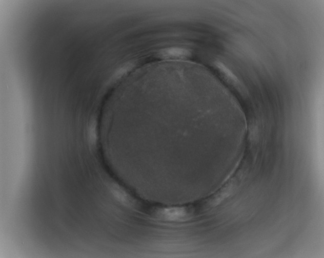 X0000113930353200910091607