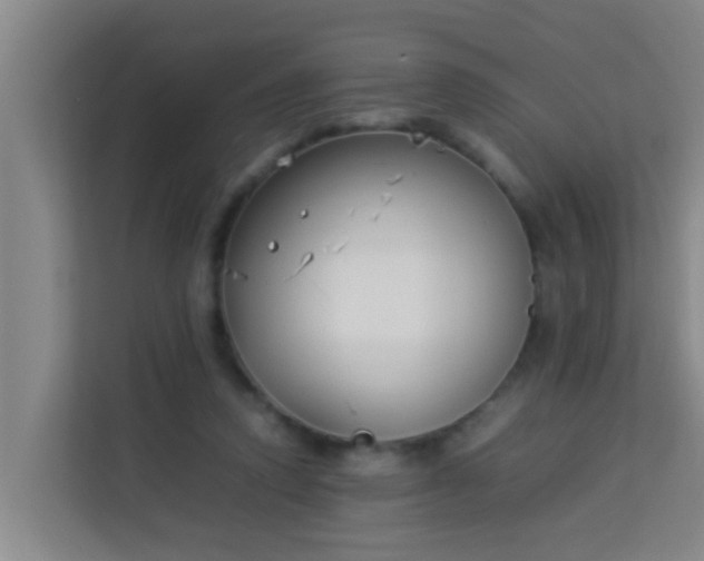 X0000113930354200910091607