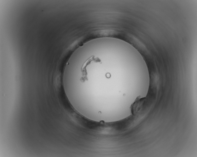 X0000113930356200910091607