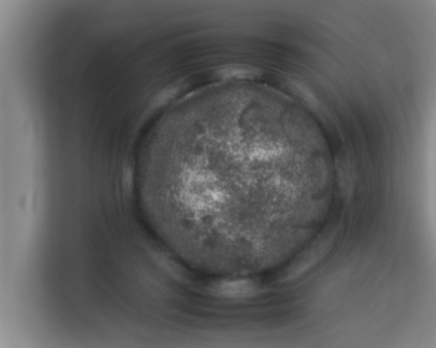 X0000113930357200910091607