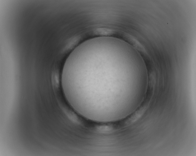 X0000113930358200910091607