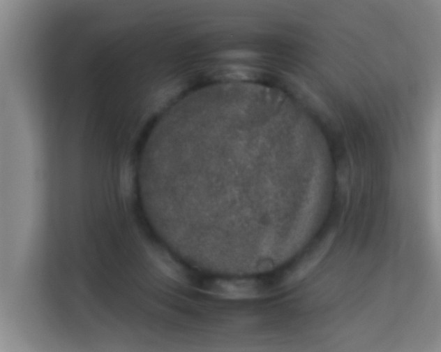 X0000113930359200910091607