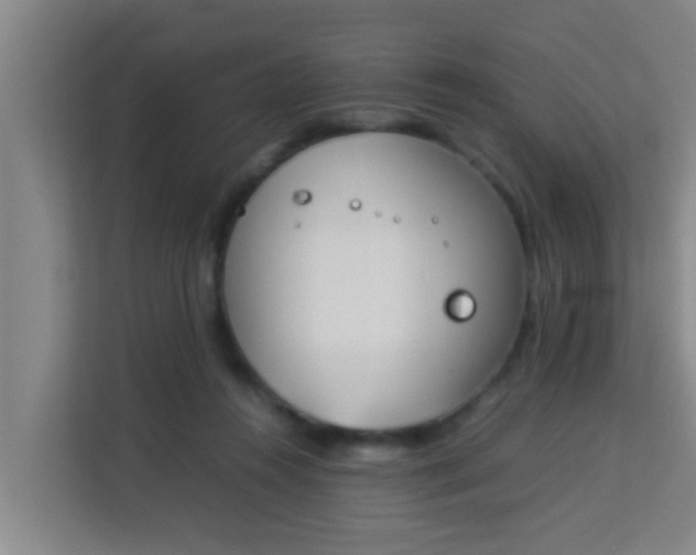 X0000113930360200910091607