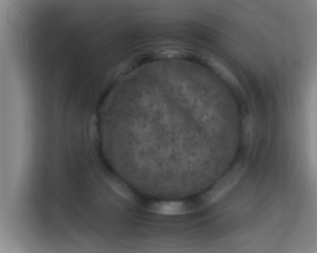 X0000113930361200910091607