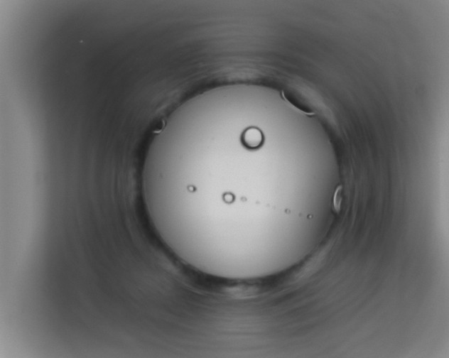 X0000113930362200910091607