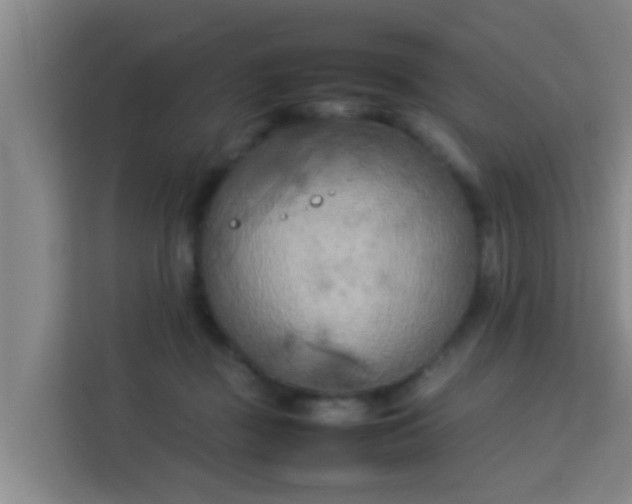 X0000113930363200910091607