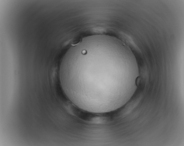 X0000113930364200910091607