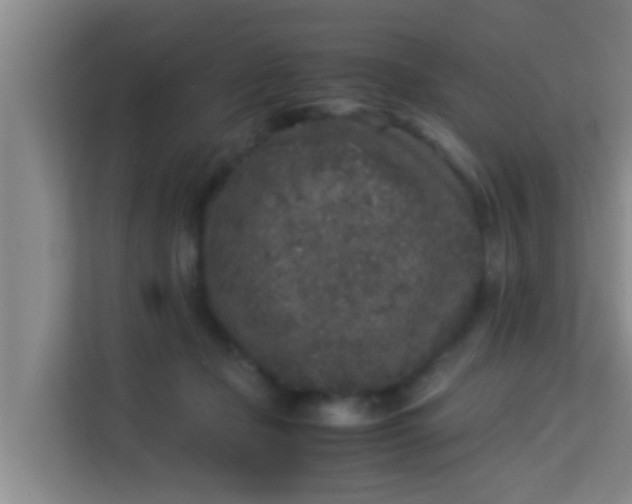 X0000113930365200910091607