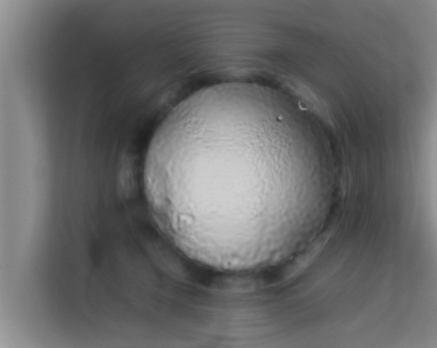 X0000113930366200910091607