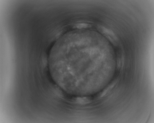 X0000113930367200910091607