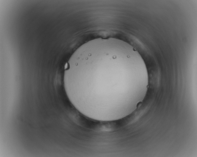 X0000113930368200910091607