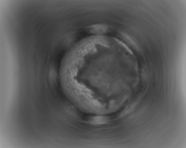 X0000113930371200910091607