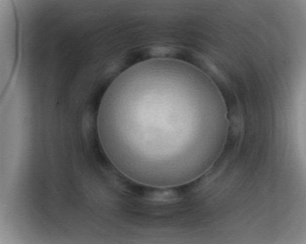 X0000113930375200910091607