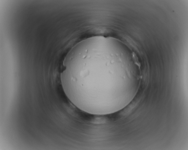 X0000113930376200910091607