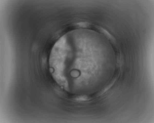 X0000113930377200910091607