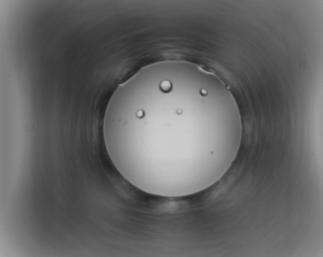 X0000113930379200910091607