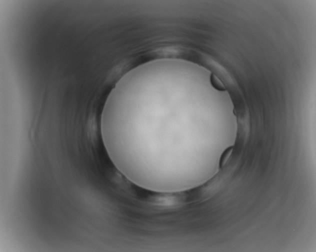 X0000113930381200910091607