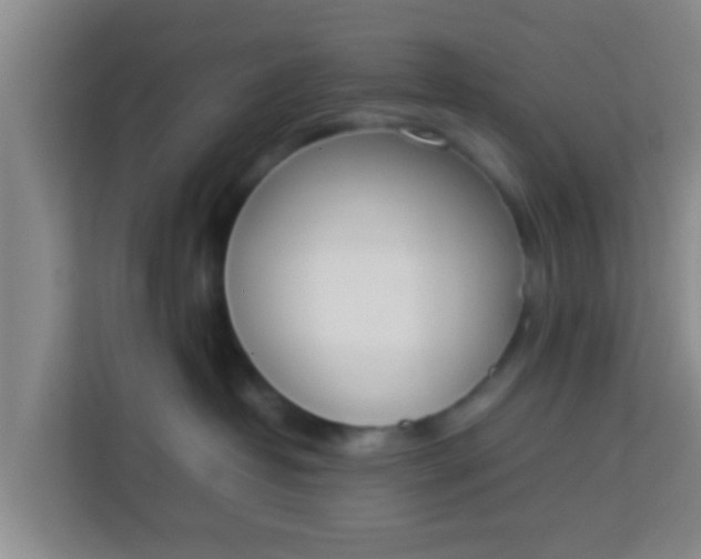 X0000113930382200910091607