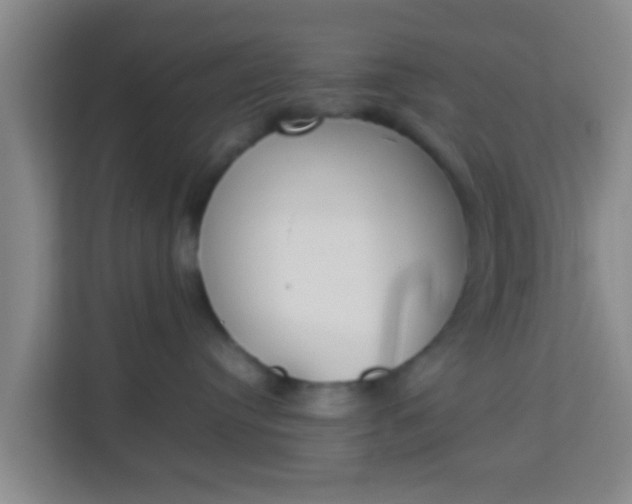 X0000113930384200910091607