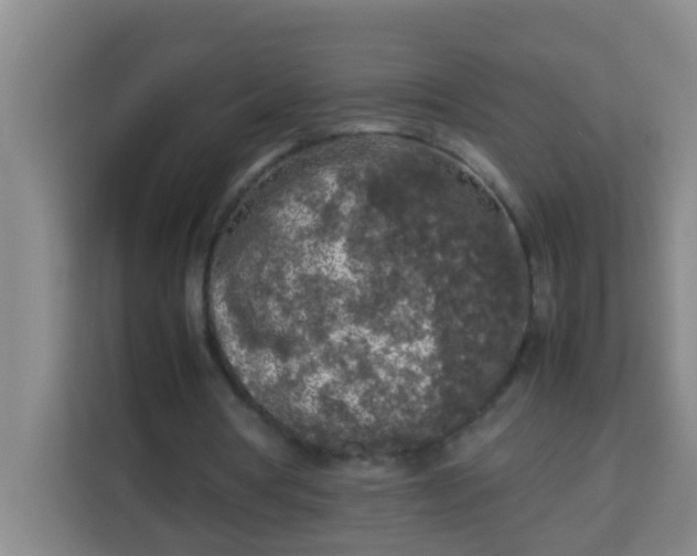 X0000113930386200910091607