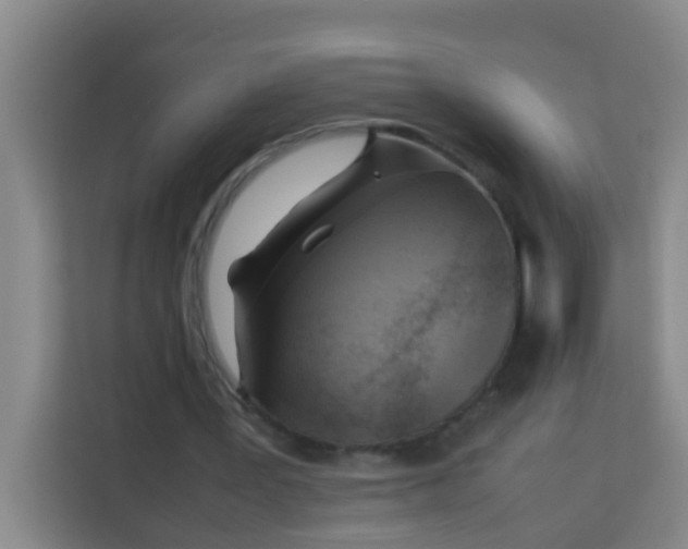 X0000113930387200910091607