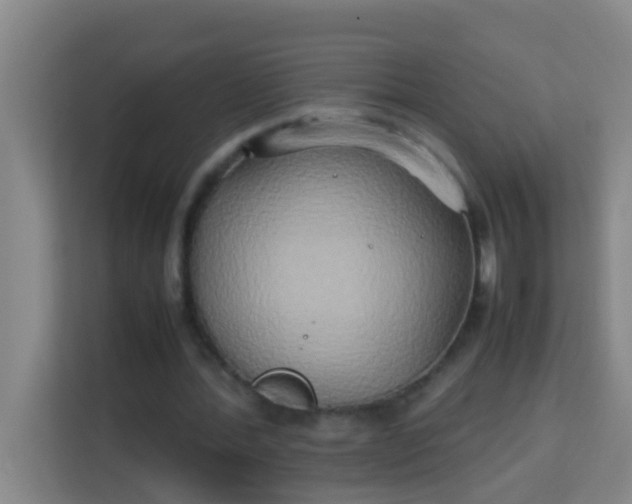 X0000113930388200910091607