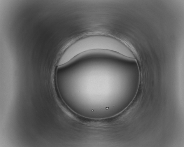 X0000113930389200910091607