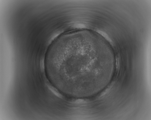 X0000113930390200910091606