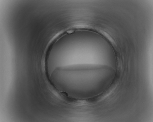 X0000113930391200910091606