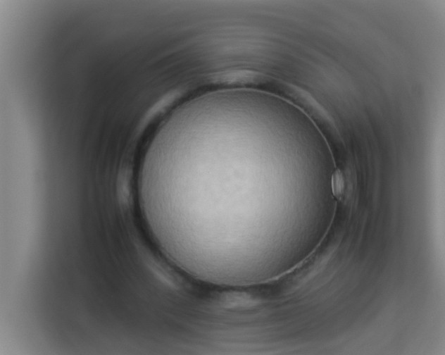 X0000113930392200910091606