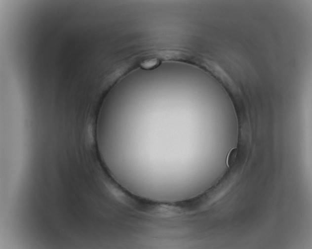 X0000113930393200910091606