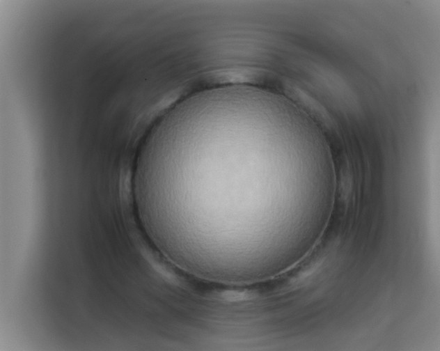 X0000113930394200910091606